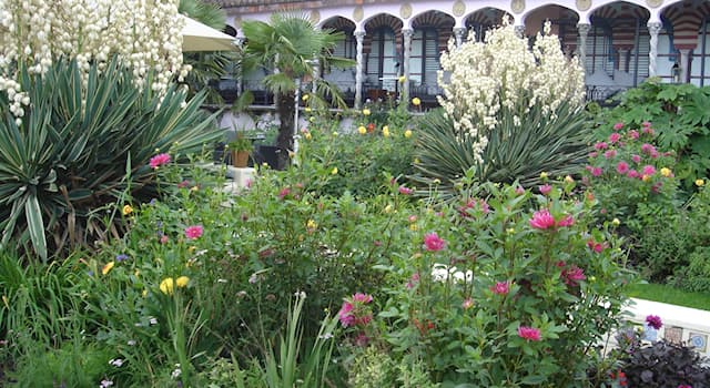 Society Trivia Question: Which 20th-century London department store was famous for its roof garden?