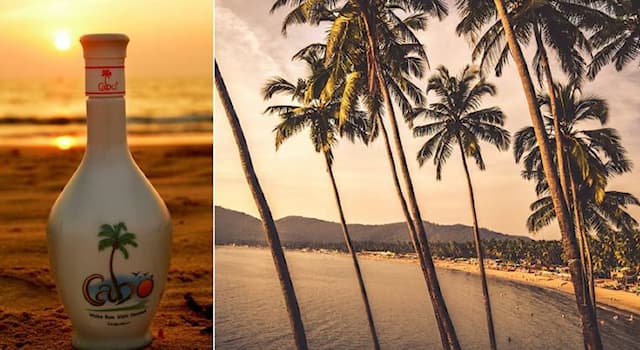 Cultura Pergunta Trivial: Qual licor tradicional é popular no estado de Goa na Índia?