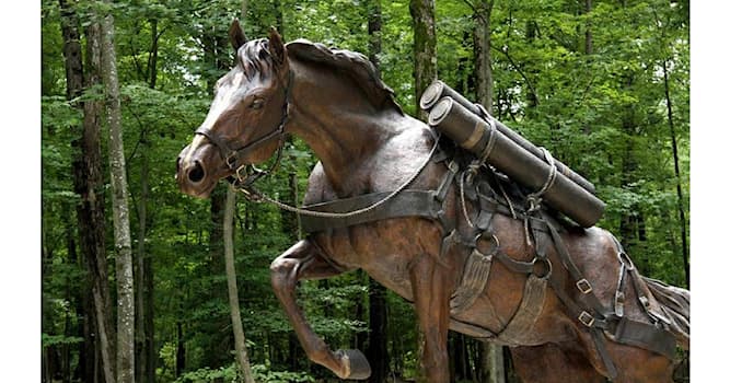 History Trivia Question: Who was Staff Sergeant Reckless?