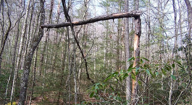 Bilim Trivia Sorusu: 90 Derecelik Açıya Ne Denir?