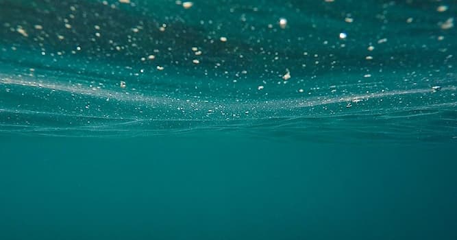 Naturaleza Pregunta Trivia: ¿Cómo se denomina la vida animal y vegetal diminuta que flota pasivamente en una masa de agua?