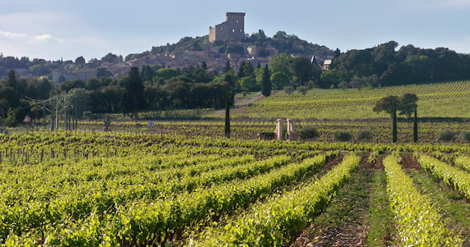 Géographie Question: D'où provient le vin appelé Châteauneuf-du-pape ?