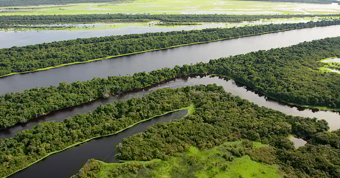 Geografía Pregunta Trivia: ¿Qué es un "bosque de várzea" en la cuenca del Amazonas?