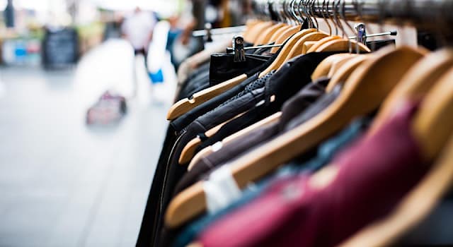 Toplum Trivia Sorusu: Sweatshirt ne tür bir giysidir?