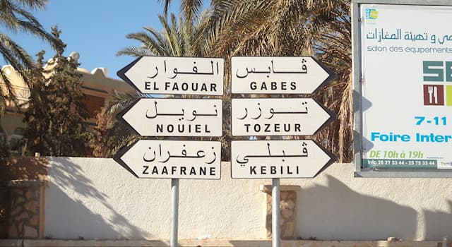 Società Domande: Qual è la lingua ufficiale in Tunisia?
