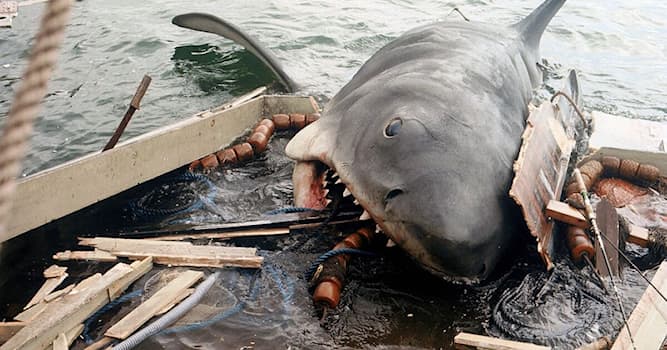 Cinema & TV Domande: Chi è il regista del film "Lo squalo"?