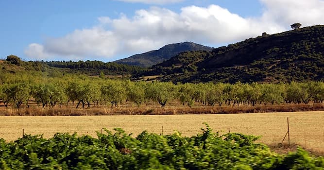 Cultura Pregunta Trivia: ¿Qué es la trilogía mediterránea?