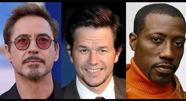 Films et télé Question: Quel est le point commun entre ces trois acteurs : Robert Downey Jr., Mark Wahlberg et Wesley Snipes ?