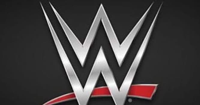 Films et télé Question: Quel lutteur de la WWE est devenu le roi des films d'action ?