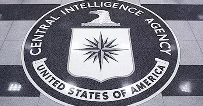 Société Question: Quels animaux la CIA a-t-elle essayé d'utiliser à des fins d'espionnage ?