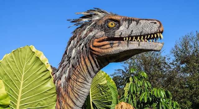 Natura Domande: Che tipo di animali erano i dinosauri?
