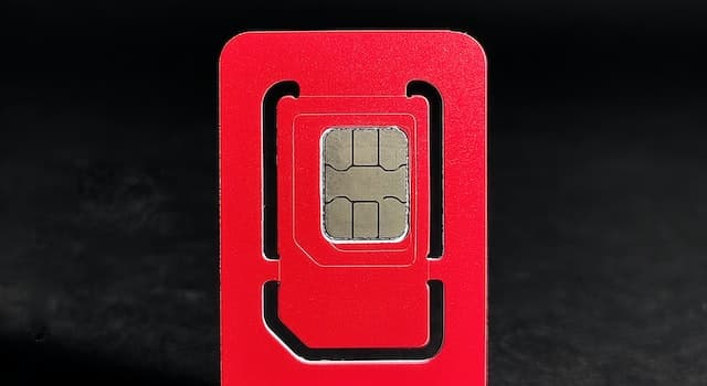 Società Domande: In quale pezzo di tecnologia potresti trovare una scheda SIM?