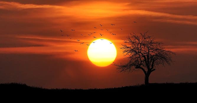 Kültür Trivia Sorusu: Hangi ülke bayrağında güneş var?