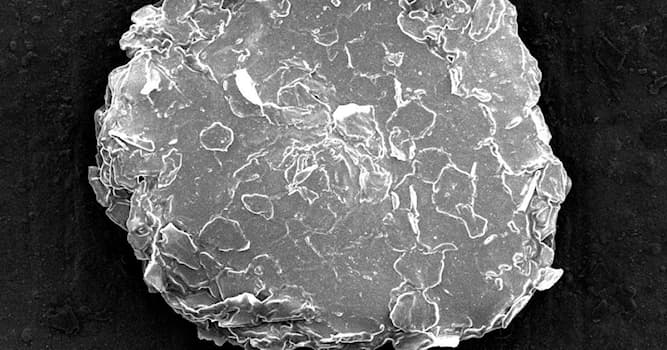 Bilim Trivia Sorusu: Kepek nedir?