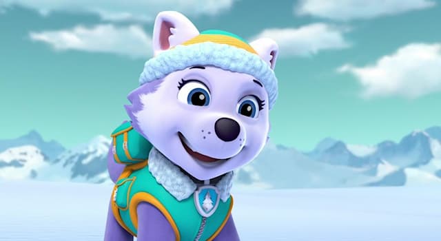 Movies & TV Trivia Question: What is Everest's favorite food in the cartoon series "PAW Patrol"?