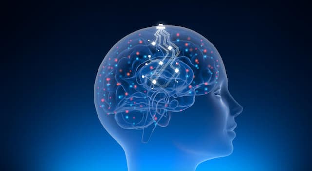 Società Domande: Cos'è Neuralink?