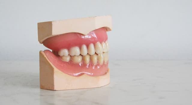 History Trivia Question: What were the first false teeth made of?