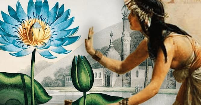 Cultura Pregunta Trivia: ¿Qué dios egipcio era originalmente una flor de loto al momento de la creación del mundo?
