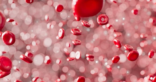 Wetenschap Trivia Vraag: Bloedarmoede is een tekort aan welk mineraal in bloed?