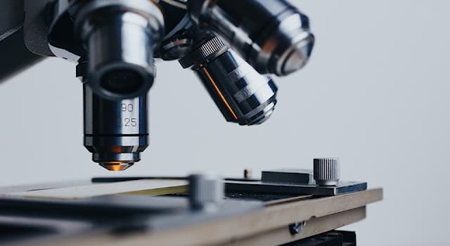 Наука Запитання-цікавинка: Що вивчає нейробіологія?