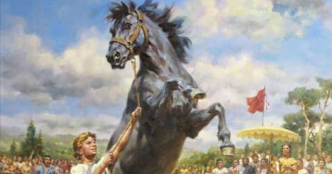 Cultura Domande: Come si chiamava il leggendario cavallo di Alessandro Magno?