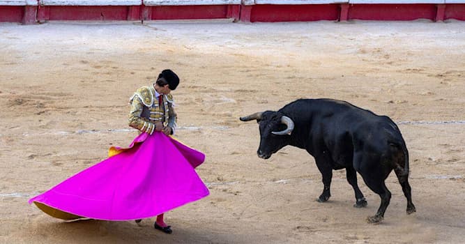 Société Question: Comment appelle-t-on la pièce de tissu dont se sert le matador pour provoquer le taureau ?