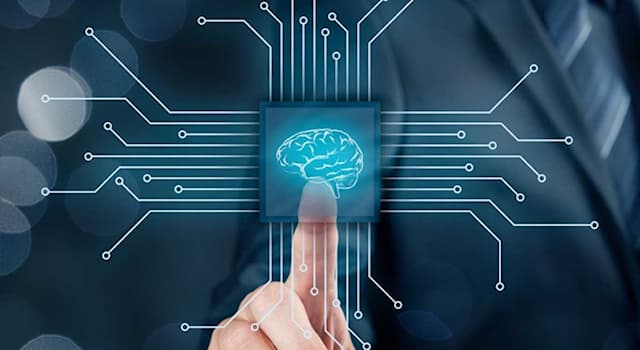 społeczeństwo Pytanie-Ciekawostka: Co mierzy test IQ?