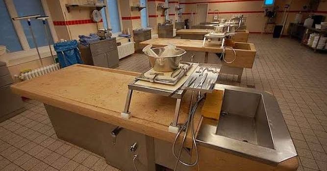 nauka Pytanie-Ciekawostka: Kto wykonuje sekcje zwłok w medycynie sądowej?