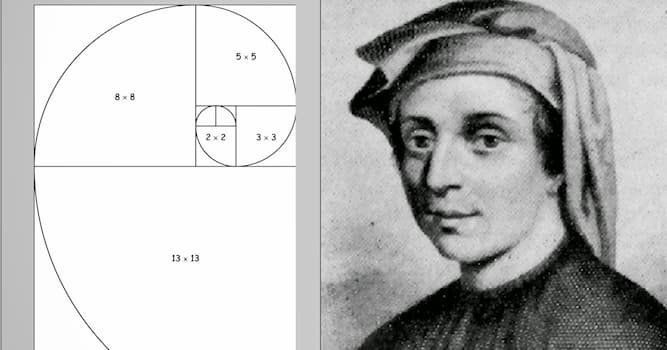 Leonardo Fibonacci. Matemático italiano que promovió el actual sistema de números Quien-fue-leonardo-fibonacci