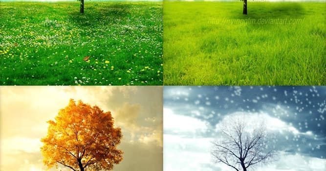 Natura Domande: Quante stagioni esistono?
