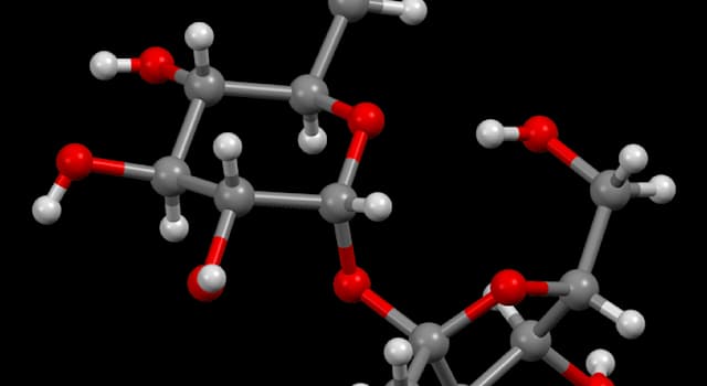 nauka Pytanie-Ciekawostka: Sacharoza to nazwa chemiczna dla którego z poniższych?