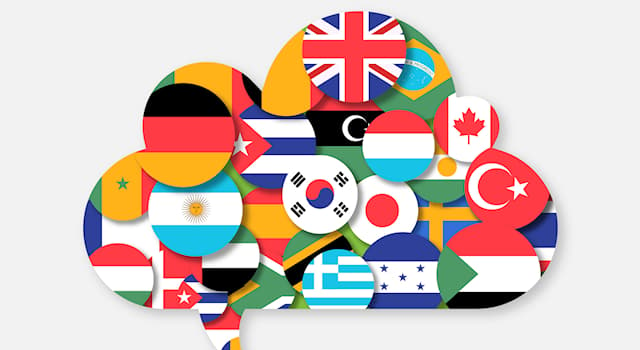 Which Country Has 11 Official Languages