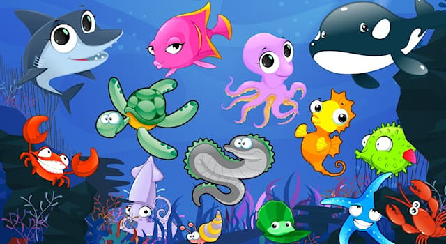 Which of these sea creatures is... | Trivia Questions | QuizzClub