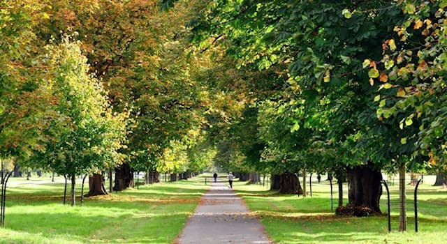 Geografía Pregunta Trivia: ¿Dónde se localiza el Phoenix Park (Parque Phoenix)?