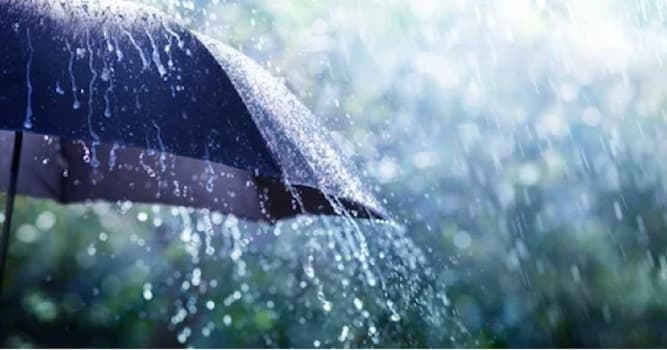 Bilim Trivia Sorusu: Hangi mevsimde insanlar daha sık hasta olur?