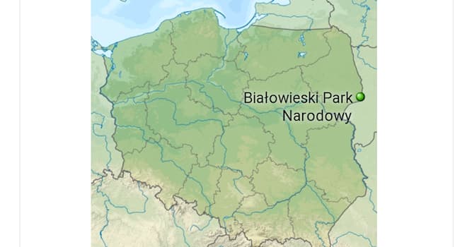 natura Pytanie-Ciekawostka: Jakie zwierzę jest symbolem Białowieska Parku Narodowego?