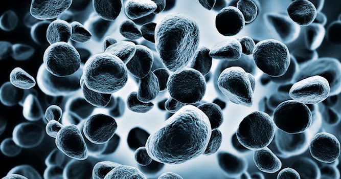 Science Question: Qu'est-ce que la leucémie ?
