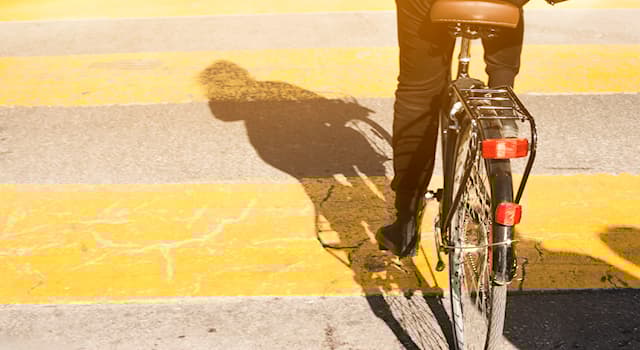 Bilim Trivia Sorusu: Her zaman aynı mesafede olan çizgilere ne denir?