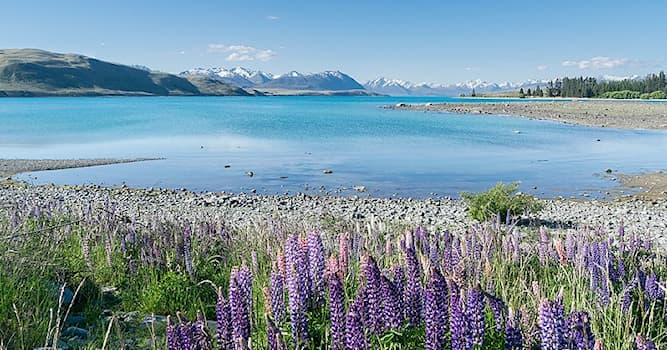 Geografia Pytanie-Ciekawostka: Gdzie leży jezioro Tekapo?