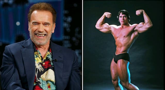 społeczeństwo Pytanie-Ciekawostka: Jakie funkcję polityczną pełnił Arnold Schwarzenegger w latach 2003-2011 w Kalifornii?