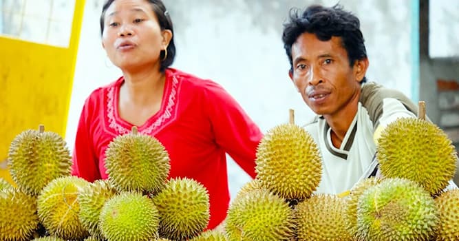 природа Запитання-цікавинка: Який фрукт є смердючим у світі?