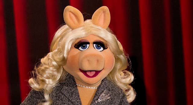 Filmy Pytanie-Ciekawostka: Kto stworzył postać Panny Miss Piggy?