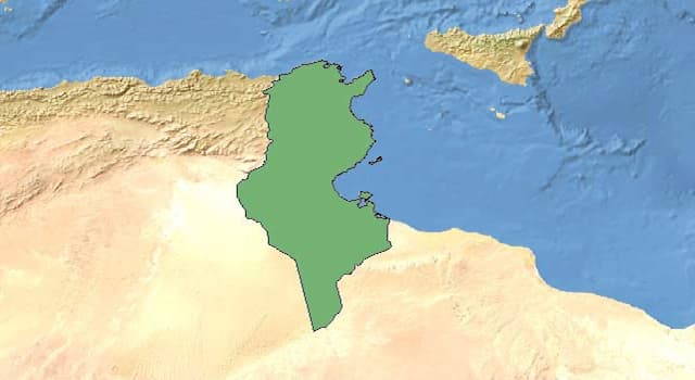 Géographie Question: Quels sont les deux pays limitrophes de la Tunisie ?