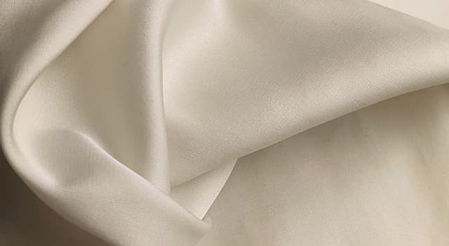 Natura Domande: Silk fabric is made by which creatures?