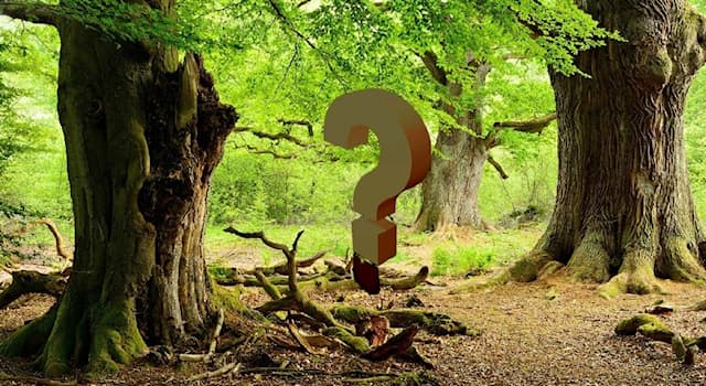 Natur Wissensfrage: Was ist ein Gilbufertyrann?