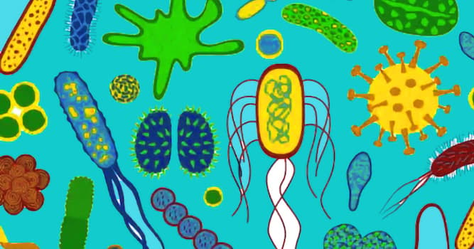 Wissenschaft Wissensfrage: Was ist ein Mikrobiom?