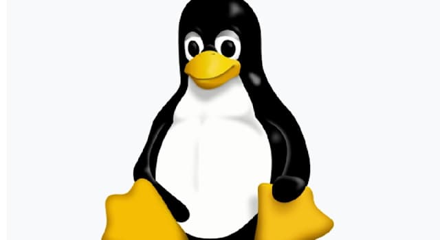 Wissenschaft Wissensfrage: Welches Computer-Betriebssystem verwendet einen Pinguin als Logo?