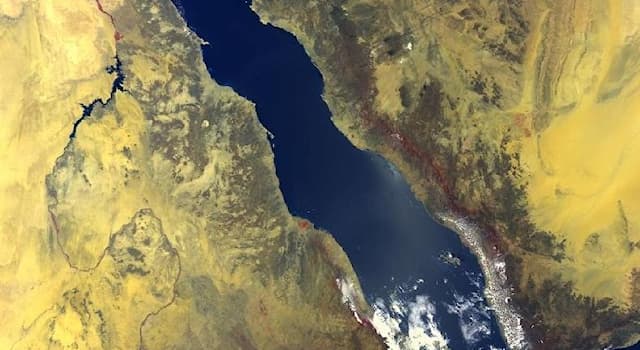 Geographie Wissensfrage: Welches Meer liegt zwischen Ägypten und Saudi-Arabien?