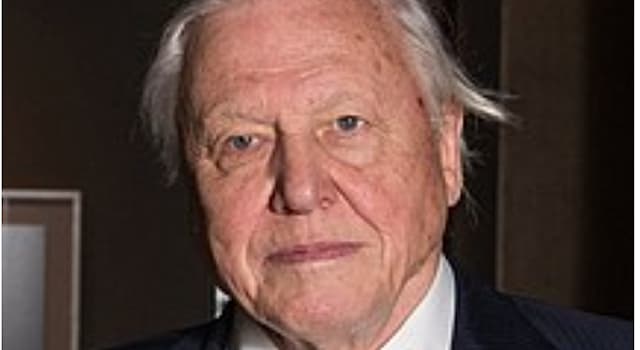 Gesellschaft Wissensfrage: Wer ist Sir David Frederick Attenborough?