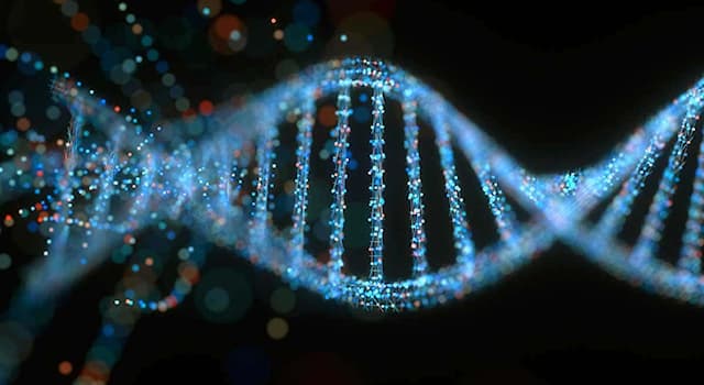 Сiencia Pregunta Trivia: ¿Qué es el genoma?